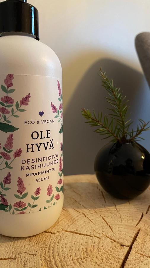 Äkäslompolo Taloyllaes, Huonemajoitus酒店 外观 照片